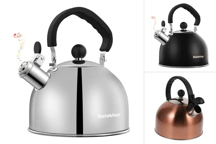Detailed view of Best Boiling Whistle Tea Kettles With Audible Signals