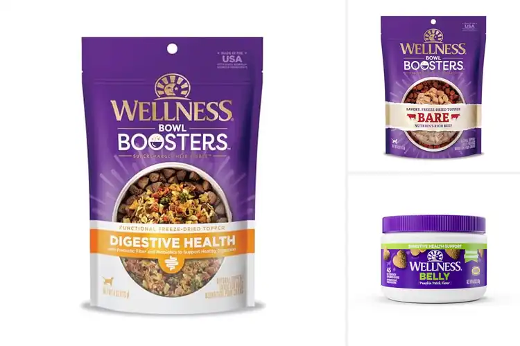 Detailed view of Best Digestive Wellness Boosters