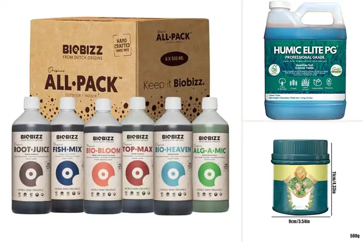 Detailed view of Best Eco Friendly Garden Enhancers