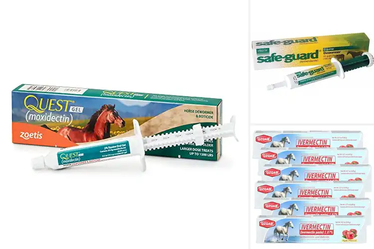 Detailed view of Best Horse Dewormers