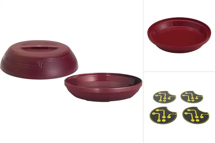 Detailed view of Best Insulated Bases For Plates