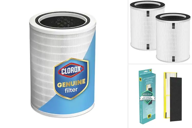 Detailed view of Best Large Air Purifier Filters