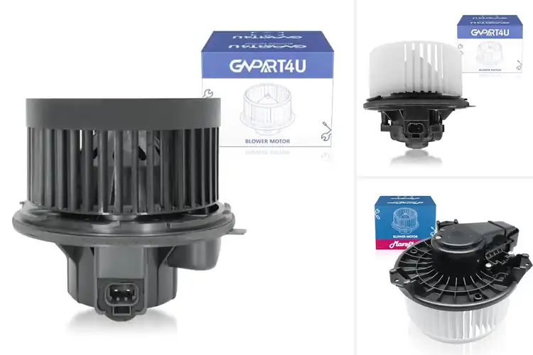 Detailed view of Best Replacement Blower Motors