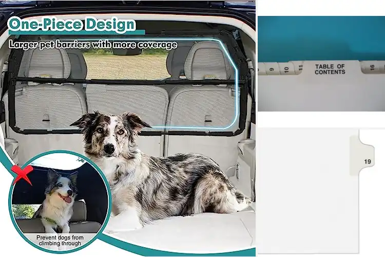 Detailed view of Best Rip Proof Dividers: Durable, Organized, and Easy to Use