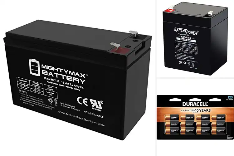 Detailed view of Best Security System Batteries