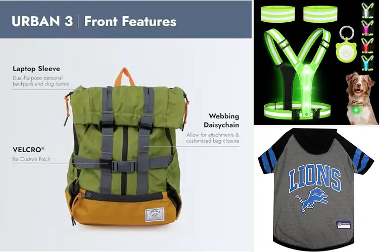 Detailed view of Best Sports Gear For Dogs