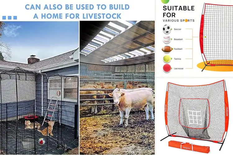 Detailed view of Best Sports Nets: Top 10 Picks for Safe & Durable Play
