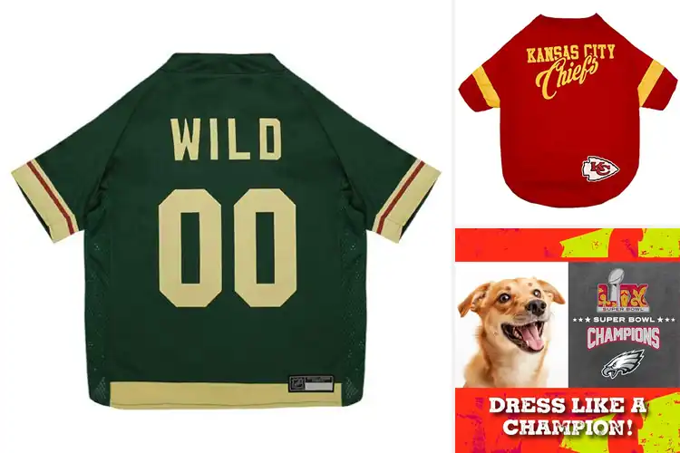 Detailed view of Best Team Merchandise For Pets