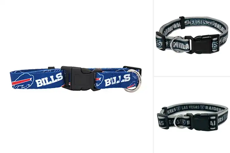 Detailed view of Best Team Pet Collars: Show Your Team Spirit in Style