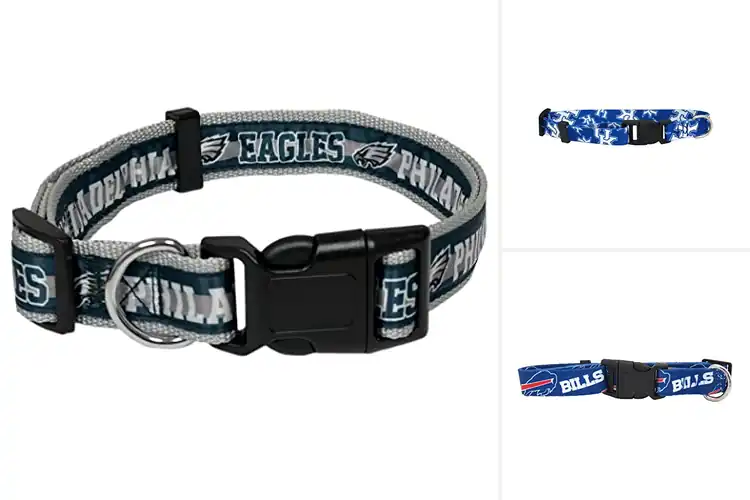 Detailed view of Best Team Spirit Collars